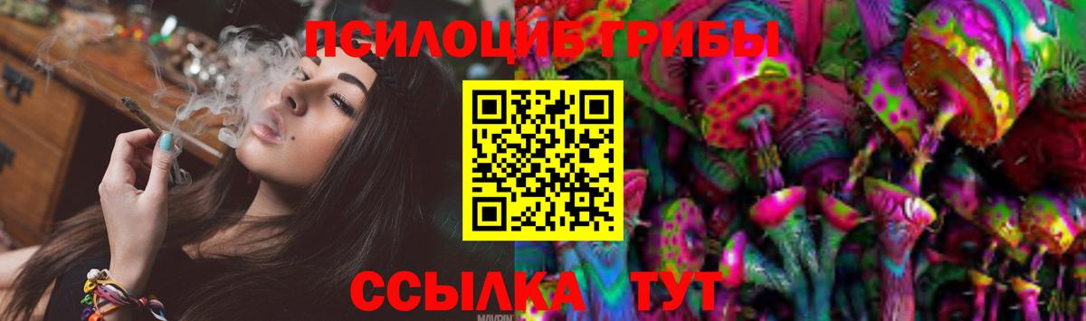 Галлюциногенные грибы Psilocybe Тейково